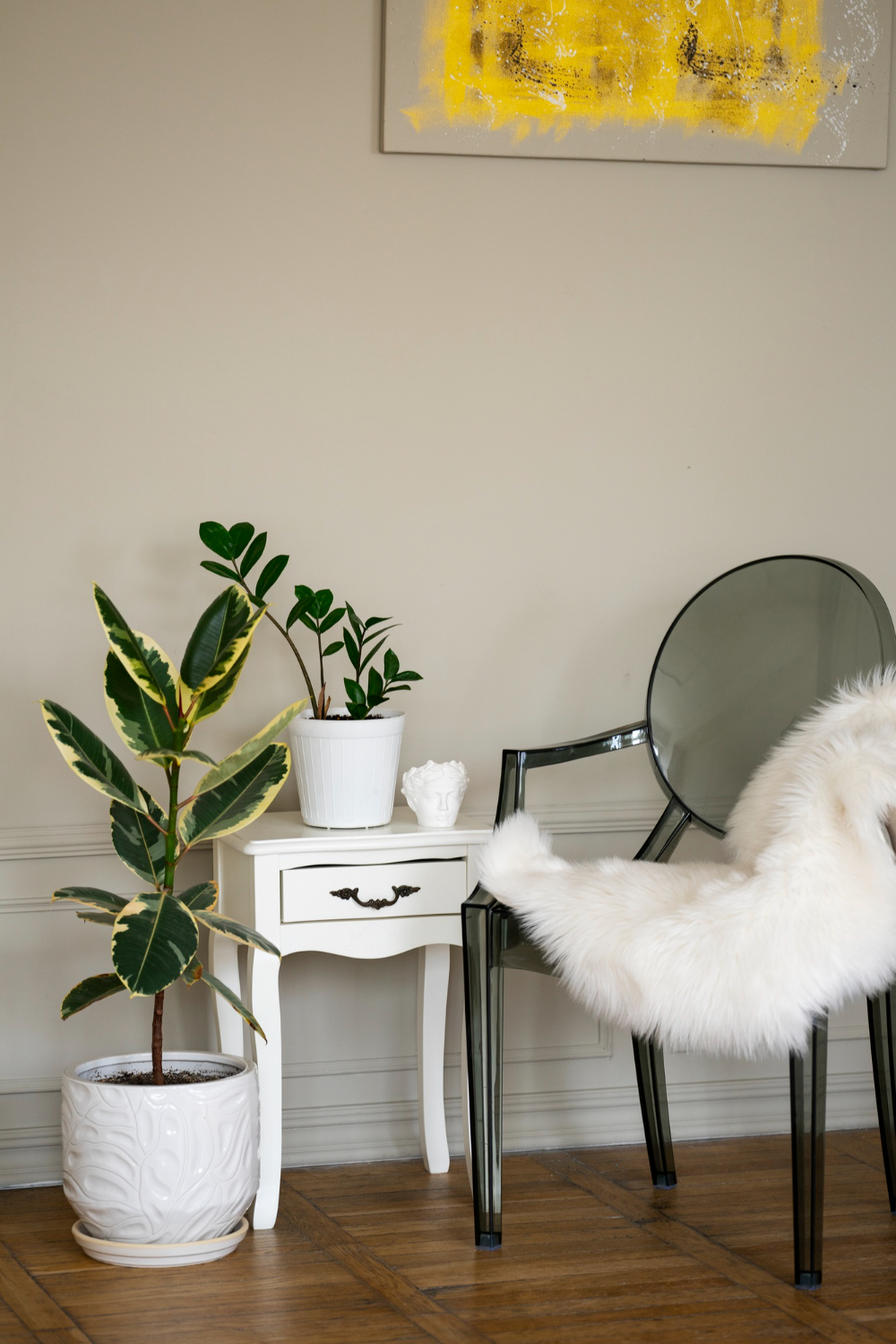 Coin intérieur stylisé avec ficus, zamioculcas en pot blanc et chaise transparente, exemple de home staging à Lyon